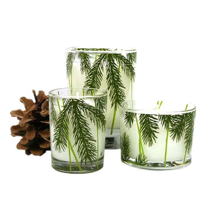 Thymes Frasier Fir Pine Candle Set