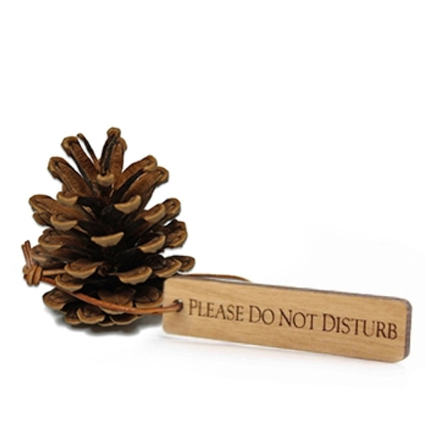 Please do not disturb pine cone from The Lodge at Torrey Pines
